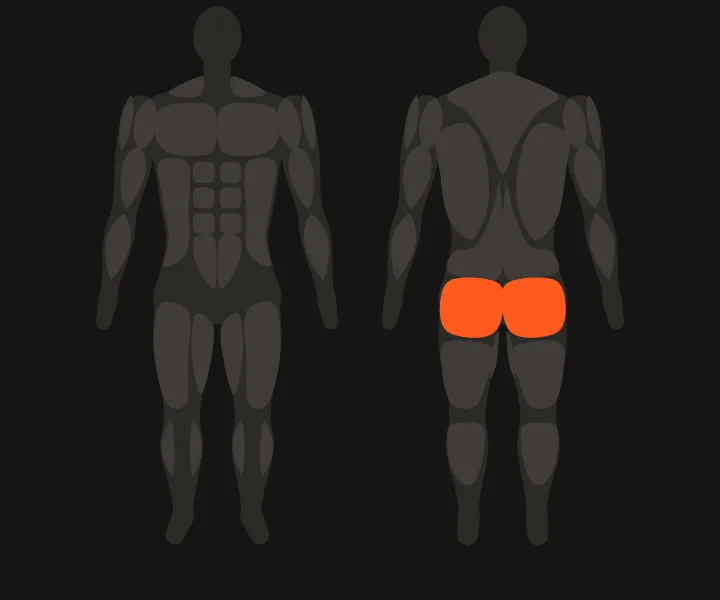 Muscle map: glutes