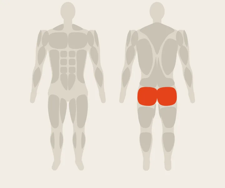 Muscle map: glutes