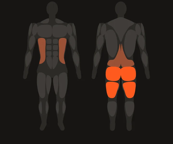 Mapa muscular: posteriores de coxa, glúteos