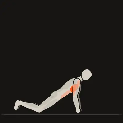 Animation: Knee Push-Up