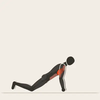 Animación: Flexión de rodillas