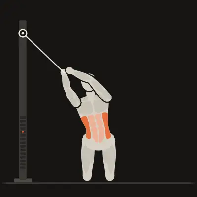 Animation: Kneeling Cable Wood Chop