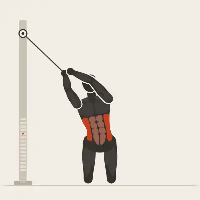 Animation: Kneeling Cable Wood Chop