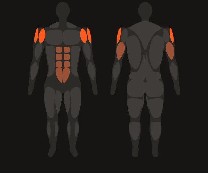 Muscle map: front delts, side delts