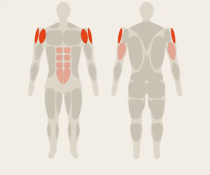 Muscle map: front delts, side delts