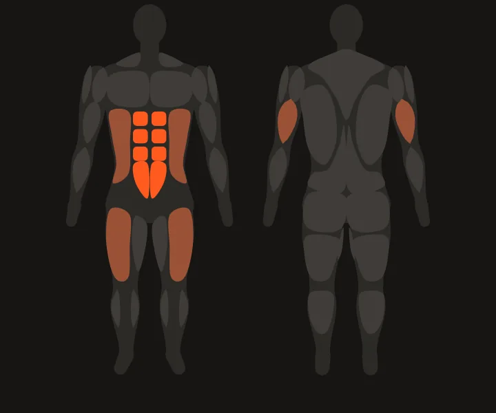 Muscle map: abs