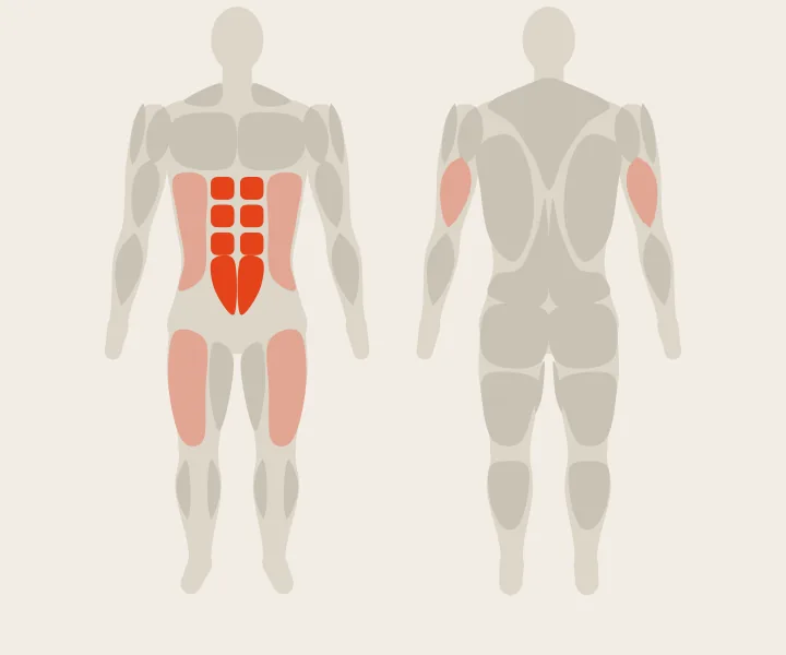 Muscle map: abs