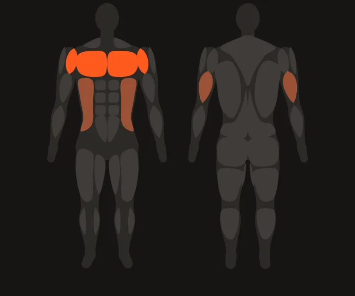 Muscle map: chest, front delts