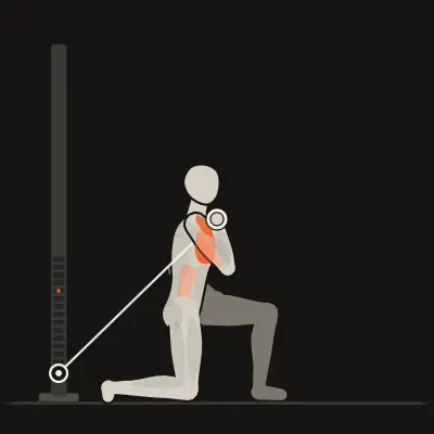 Animation: Cable Landmine Press