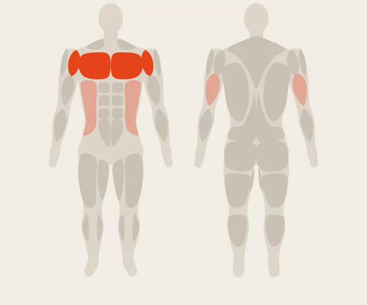 Muscle map: chest, front delts