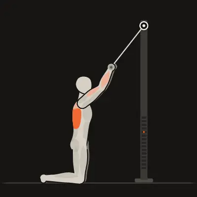 Animation: Close-Grip Lat Pulldown