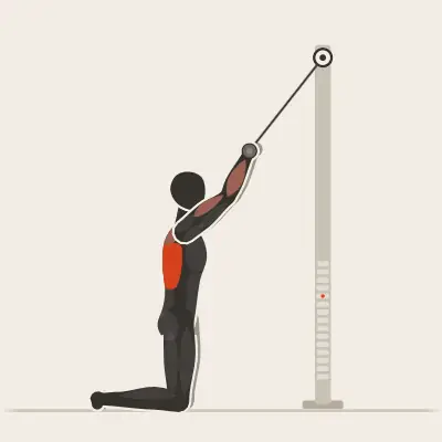 Animation: Close-Grip Lat Pulldown