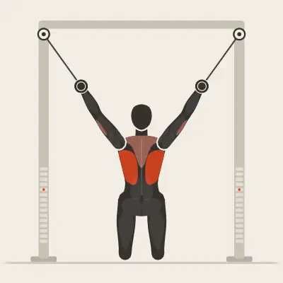 Animatie: Lat pulldown met twee handvatten