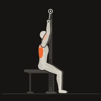 Animation : Tirage vertical prise large assis