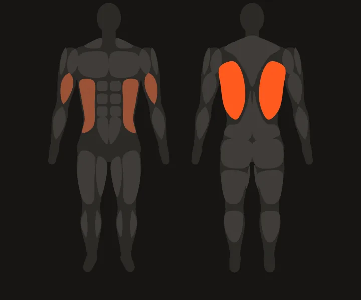 Muscle map: lats