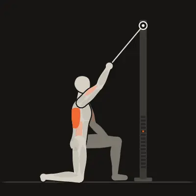 Animation: Single-Arm Lat Pulldown
