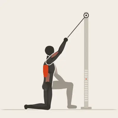 Animation: Single-Arm Lat Pulldown