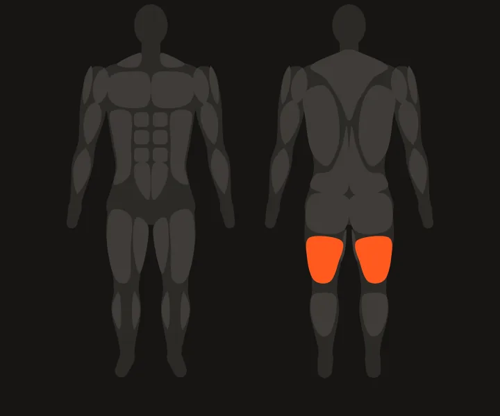 Spierkaart: hamstrings