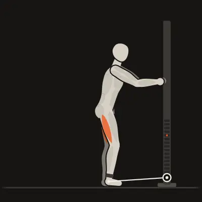 Animatie: Staande leg curl