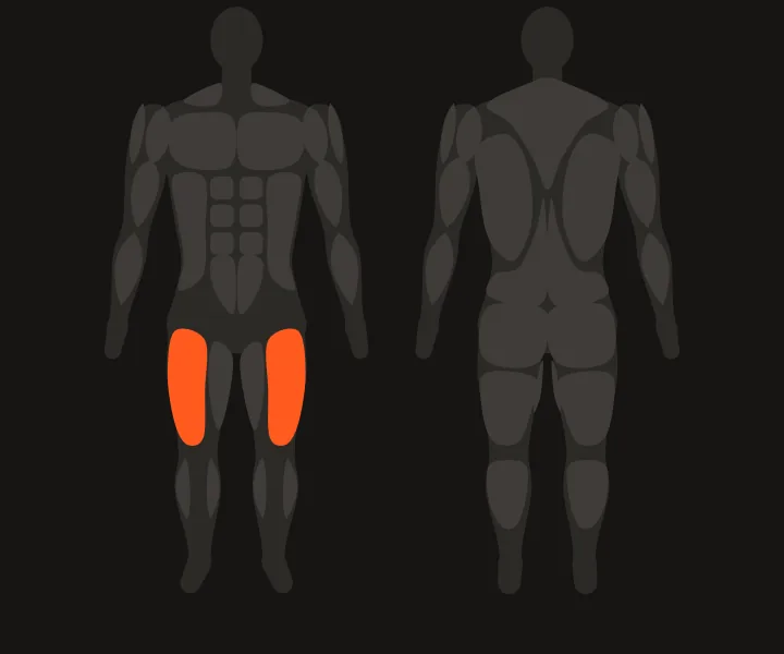 Spierkaart: quadriceps