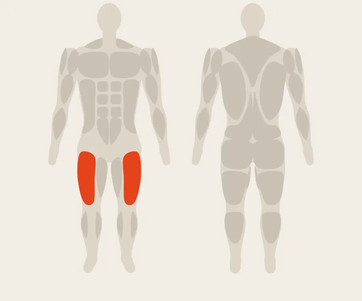 Muscle map: quads