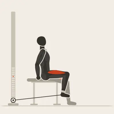 Animatie: Zittende leg extension