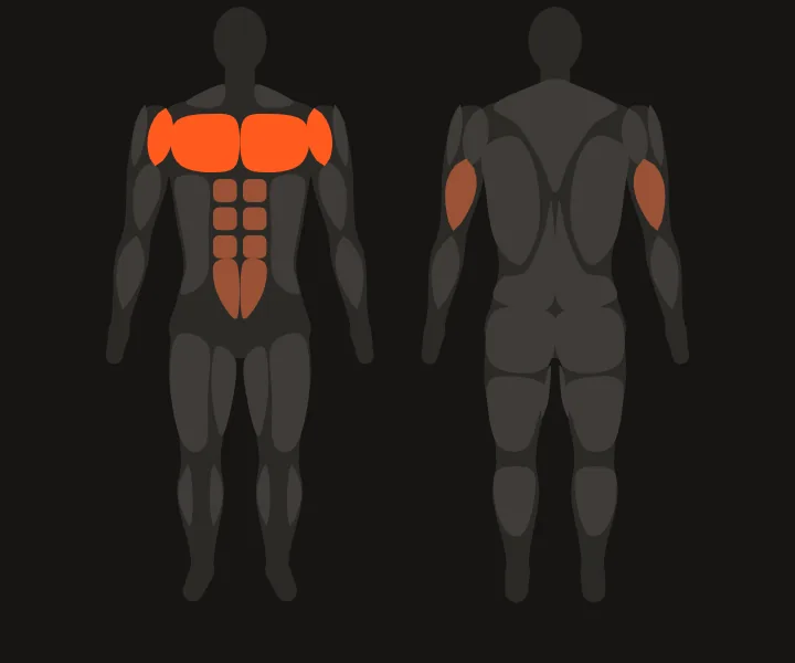 Mapa muscular: pecho, deltoides anterior