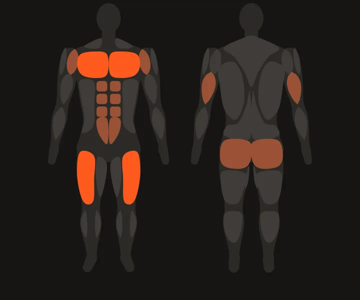 Muscle map: chest, quads