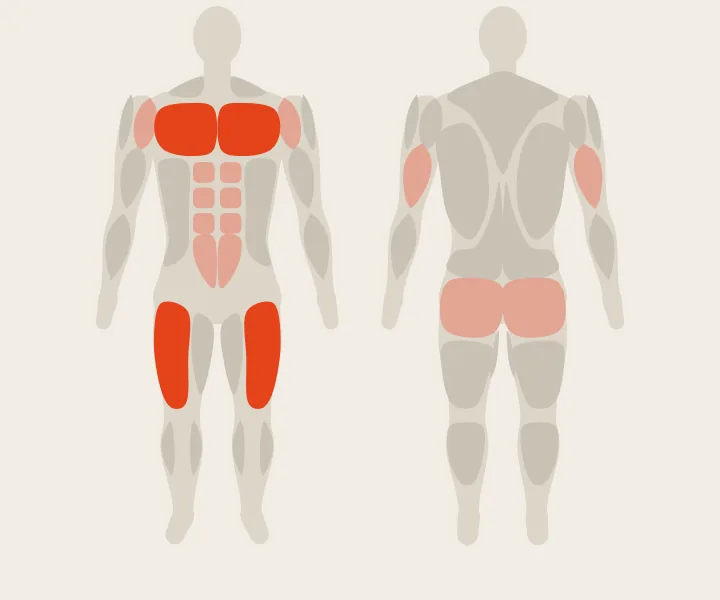Muscle map: chest, quads