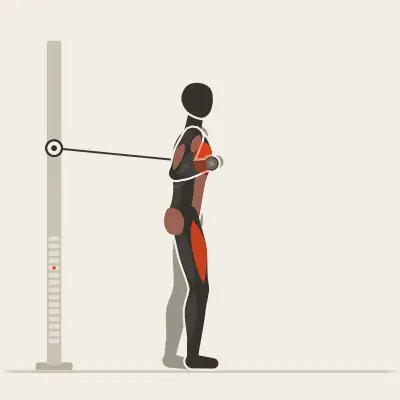 Animation: Lunge with Chest Press
