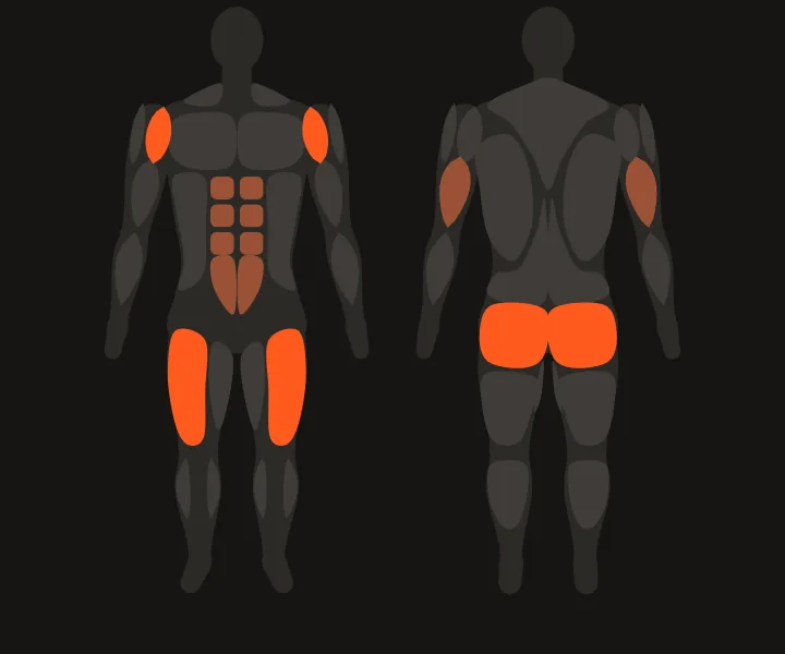Mapa muscular: quadríceps, glúteos, deltoide anterior