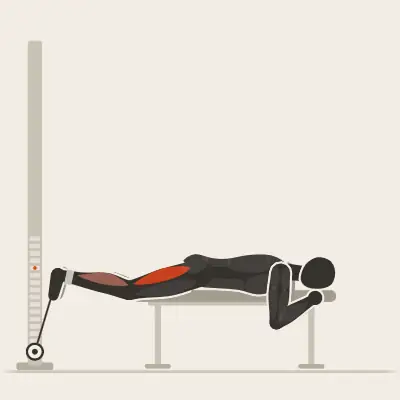 Animation: Lying Leg Curl