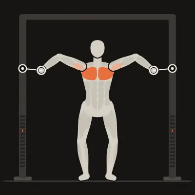 Animation: Standing Chest-Height Fly