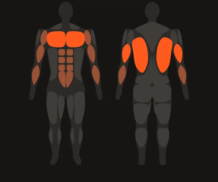 Mapa muscular: dorsales, tríceps, pecho