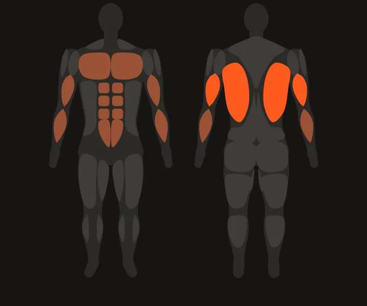 Muscle map: lats, triceps