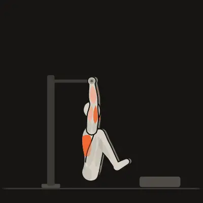 Animation: Negative Muscle-Up