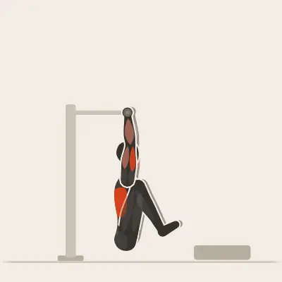 Animation: Negative Muscle-Up