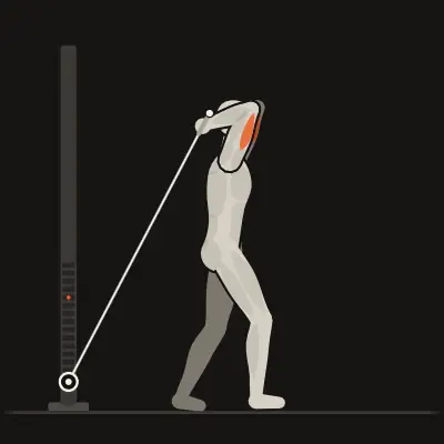 Animation: Overhead Triceps Extension