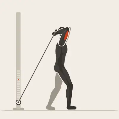 Animation: Overhead Triceps Extension