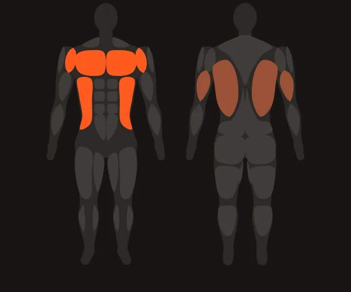 Muscle map: front delts, chest, obliques