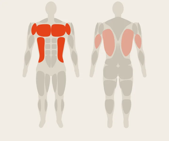 Muscle map: front delts, chest, obliques