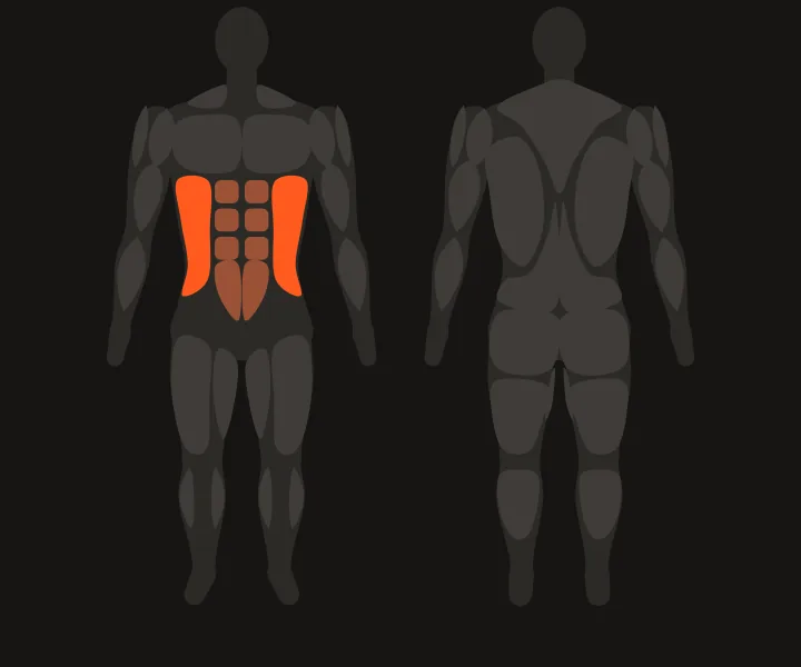 Mapa muscular: oblicuos