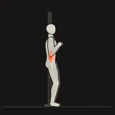 Animation : Pallof press