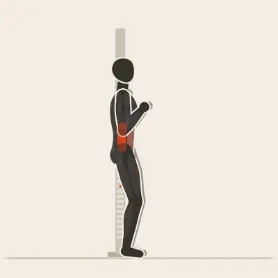 Animation : Pallof press
