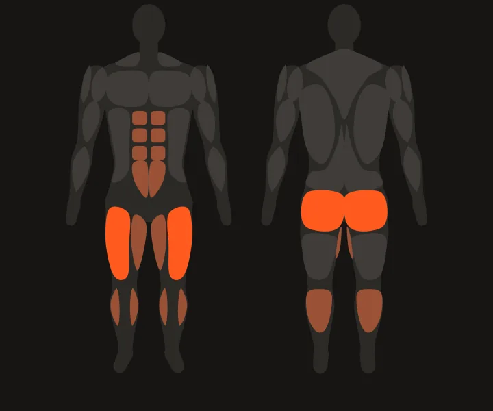 Muscle map: quads, glutes