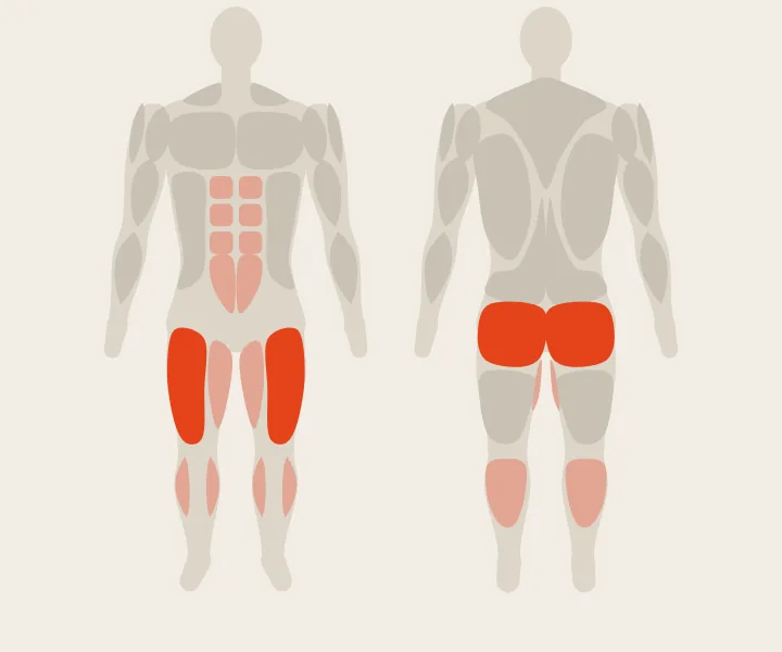 Muscle map: quads, glutes