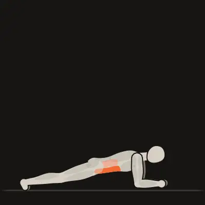 Animation: Forearm Plank