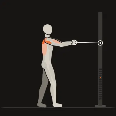Animation: Posture Row with Chin Tuck