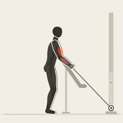Animation: Cable Preacher Curl