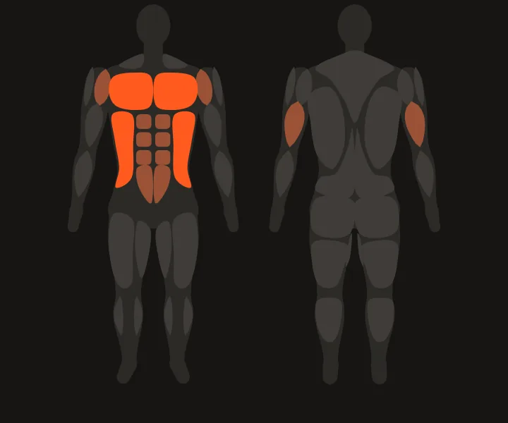 Muscle map: chest, obliques